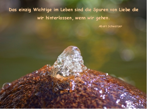 Springbrunnen vor dem Hospiz Nordheide